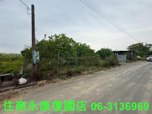 麻豆農地-5
