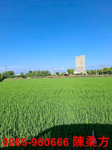 西區農地-8