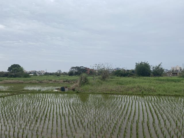 中壢農地-3