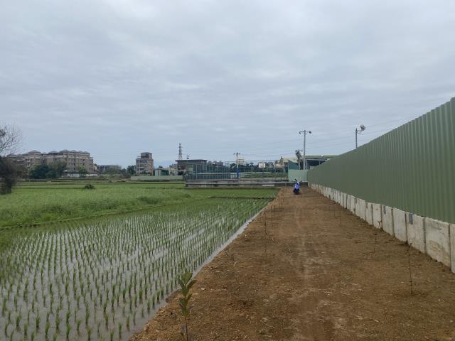 中壢農地-5