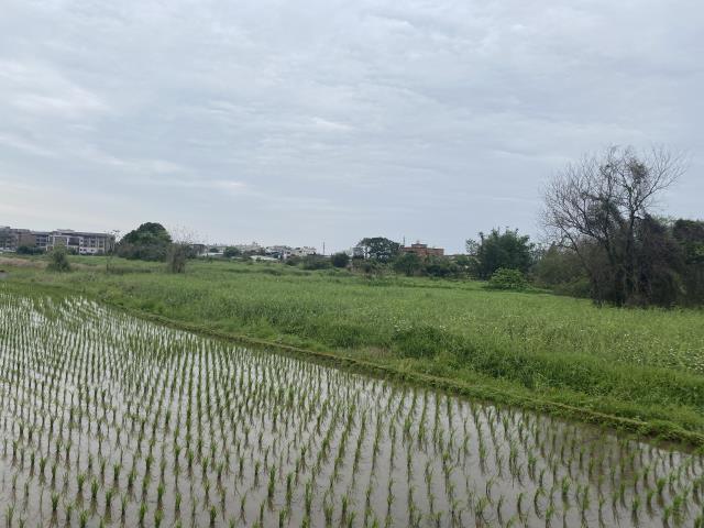 中壢農地-9