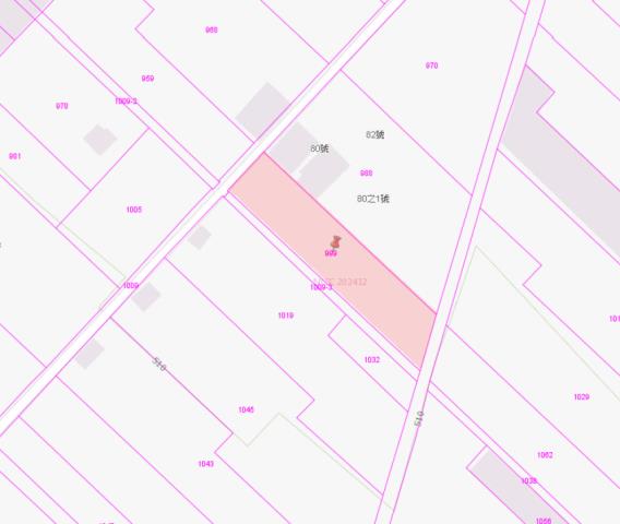 台中新社農地法拍-3
