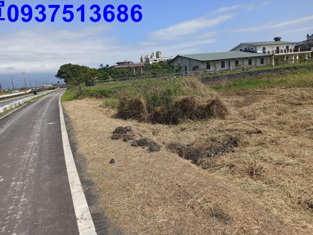 宜蘭壯圍農地-3