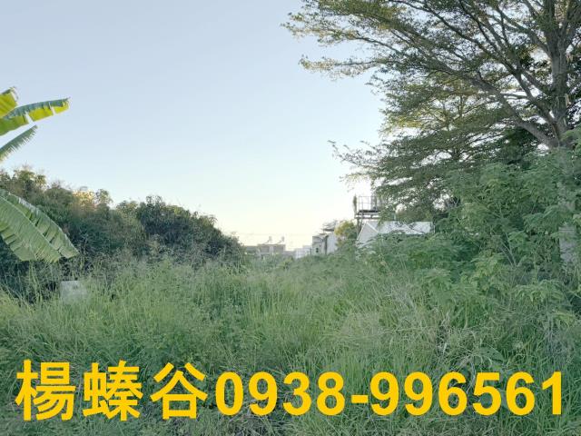 台南善化工業地-1