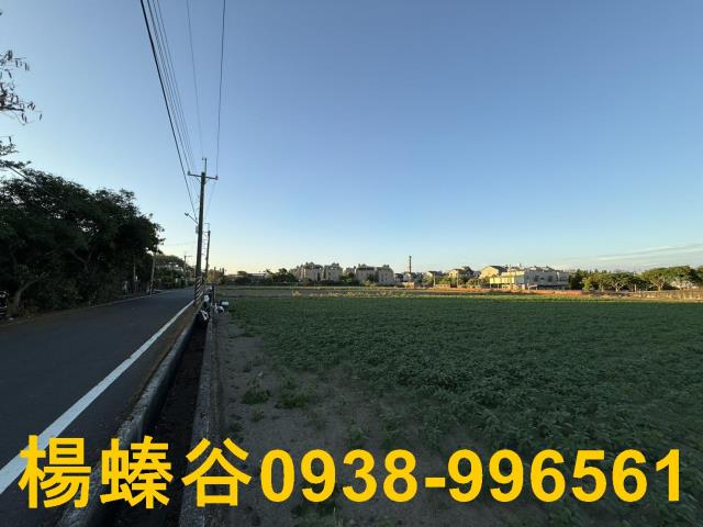 台南善化工業地-6