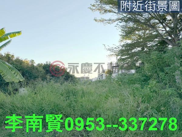 善化工業地-9