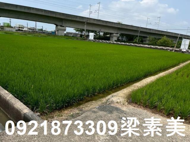 台南農地-1