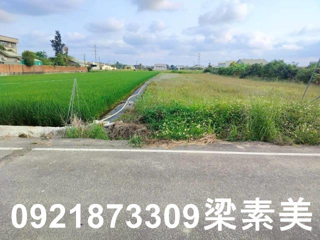 台南農地-2