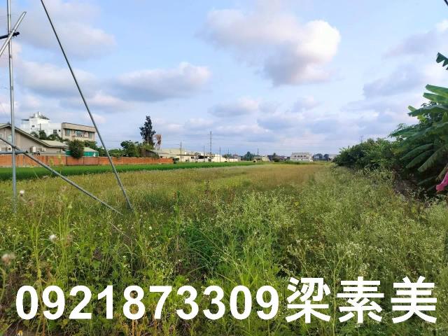台南農地-7