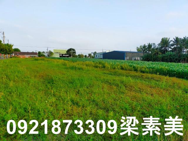 台南農地-12