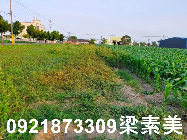 台南農地-13