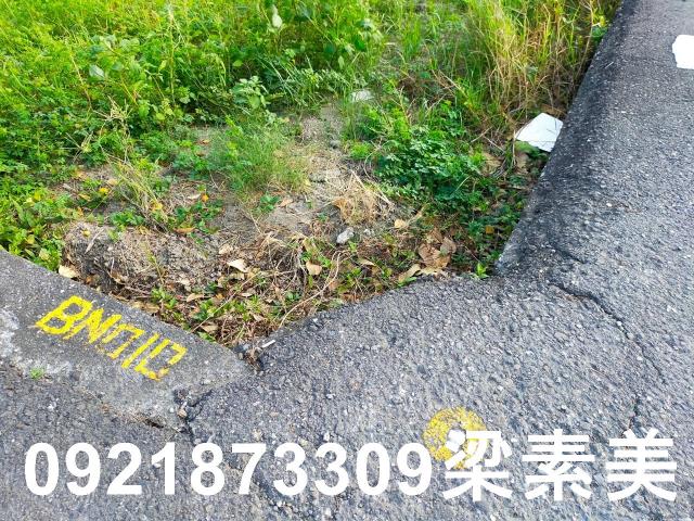 台南農地-3