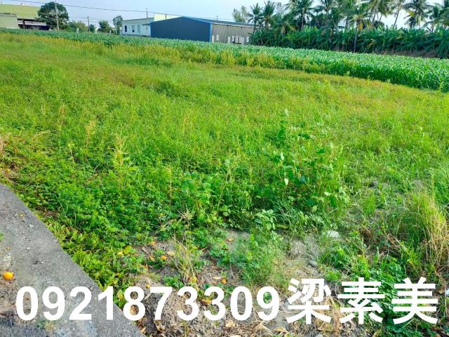台南農地-9