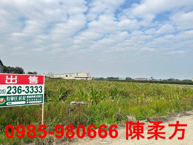 嘉義農地-4
