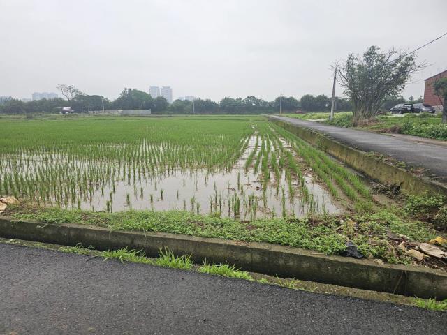 桃園中壢農地-5
