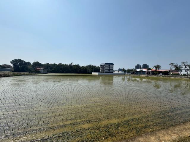 桃園中壢農地-5