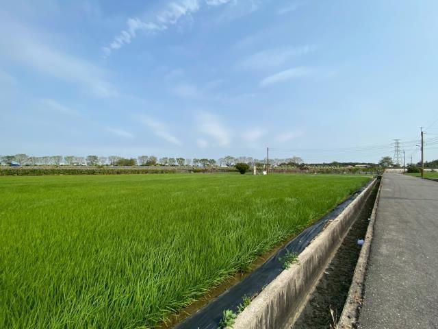 台南新營農地-4
