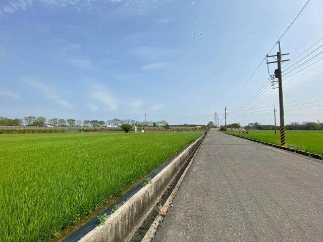 台南新營農地-5