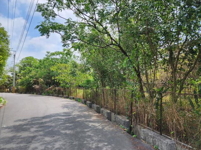 高雄燕巢農地-10