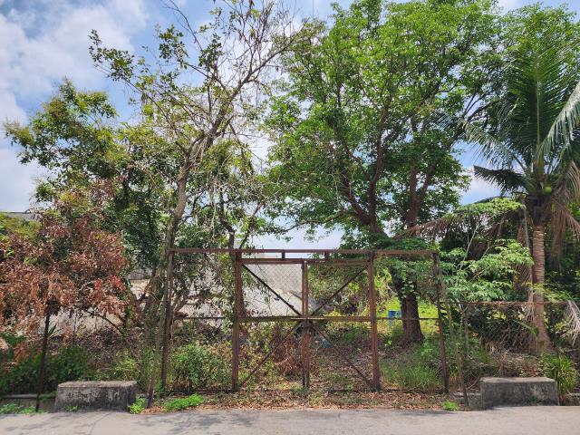 高雄燕巢農地-2