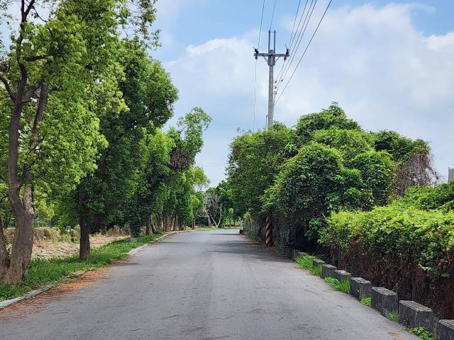 高雄燕巢農地-3