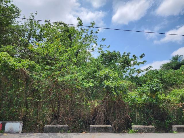 高雄燕巢農地-5
