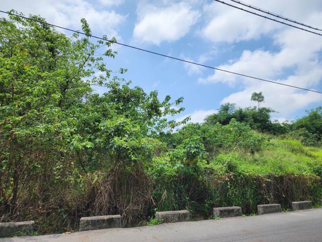 高雄燕巢農地-6