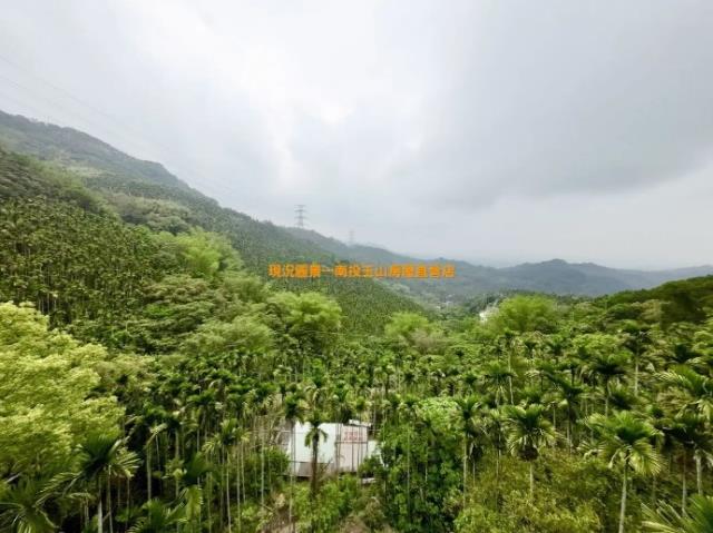 草屯農地-1