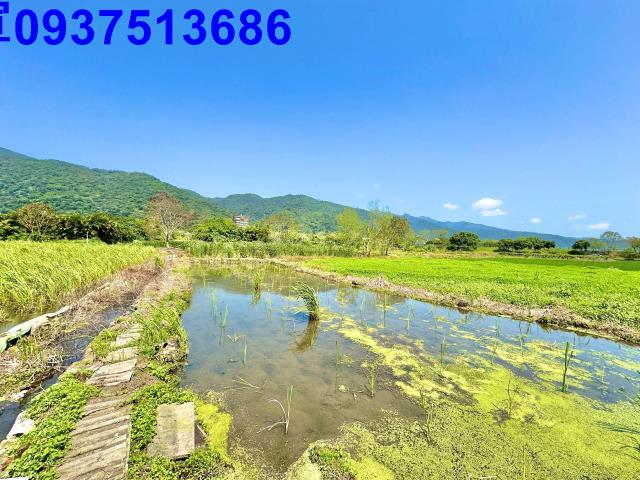 宜蘭頭城農地-2
