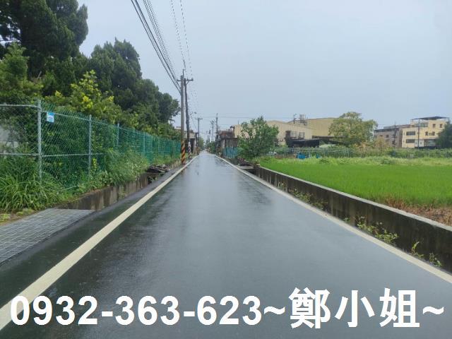 桃園大園農地-2