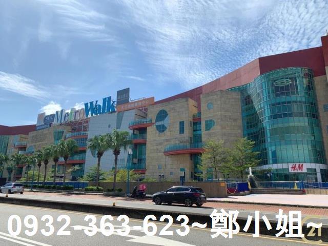 桃園大園農地-8