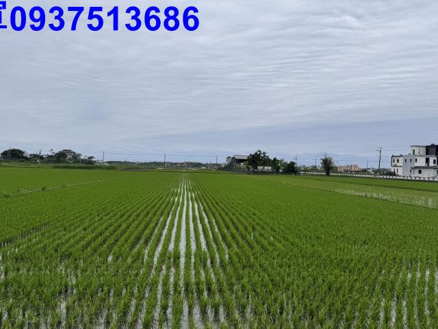 宜蘭壯圍農地-14