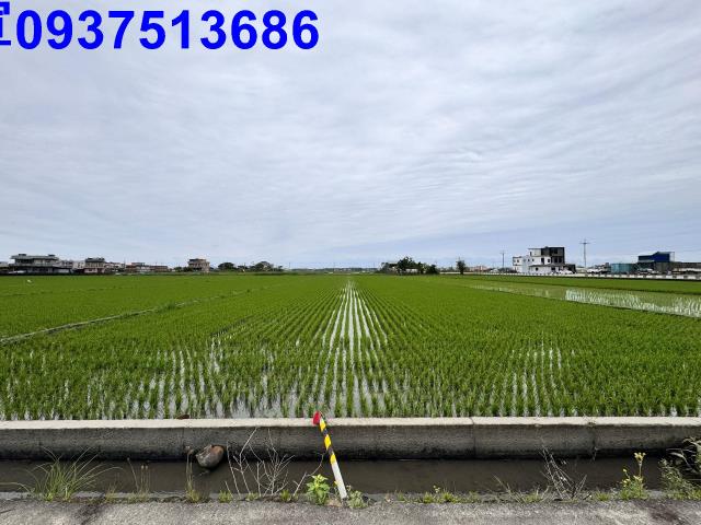 宜蘭壯圍農地-2