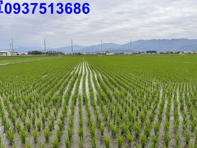 宜蘭壯圍農地-6