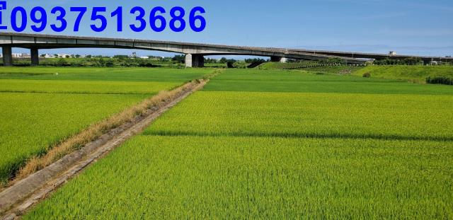 宜蘭宜蘭市農地-2