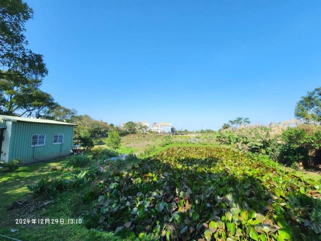 桃園大溪農地-5