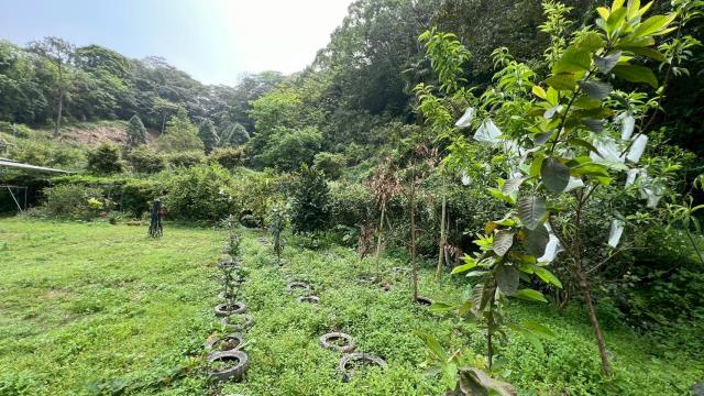 苗栗三灣農地-14