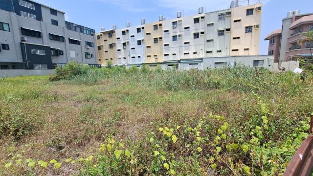 安南建地-1