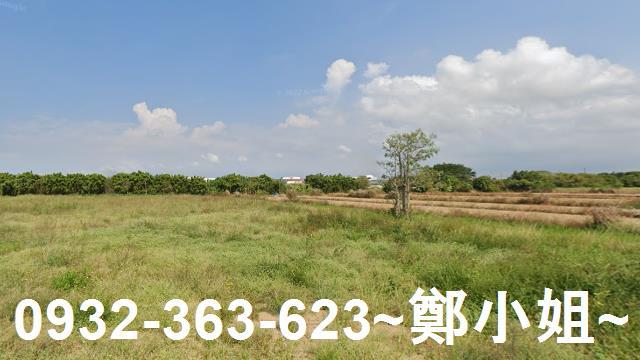 大園農地-1