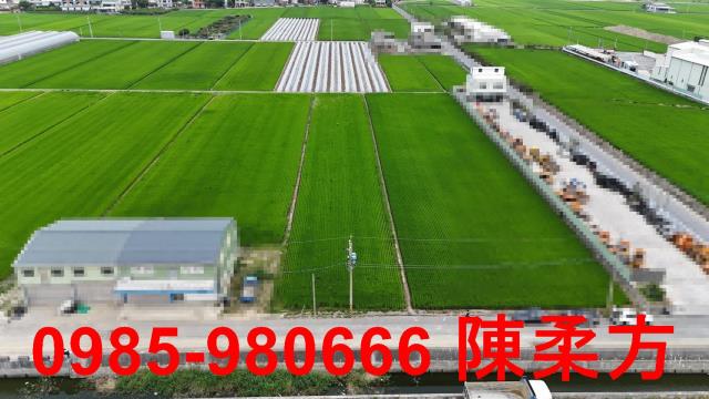 民雄農地-12
