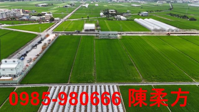 民雄農地-1