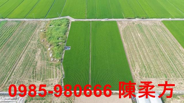 鹿草農地-10