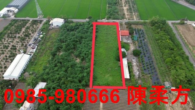 大林農地-1