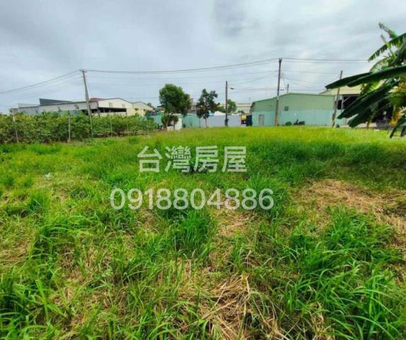大社農地-1