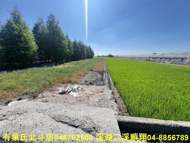 溪州農地-2