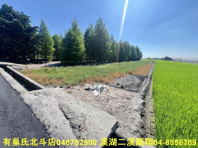 溪州農地-3
