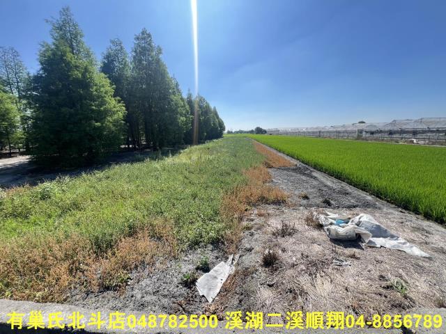 溪州農地-4