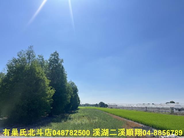 溪州農地-5