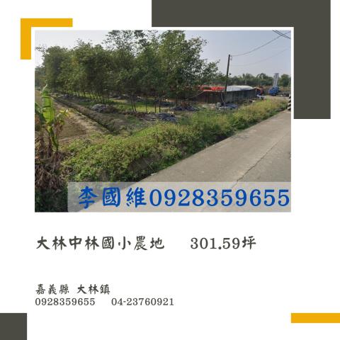 大林農地法拍-1