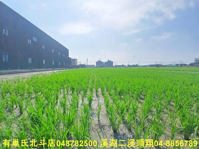 彰化農地-3
